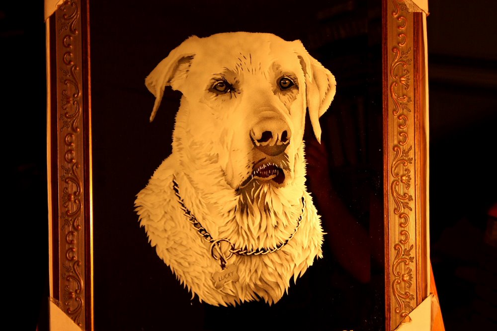 Glass Etching of Dog