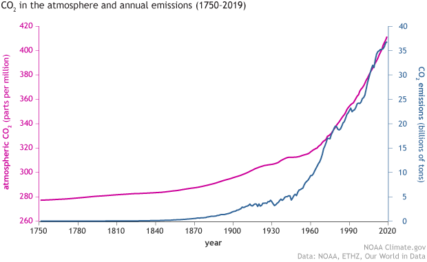 CO2 in the atmosphere contributing to pollen (allergies).