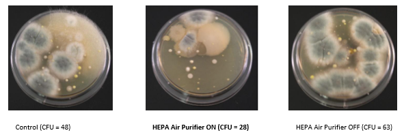 Sample plates show reduction in bacterial load