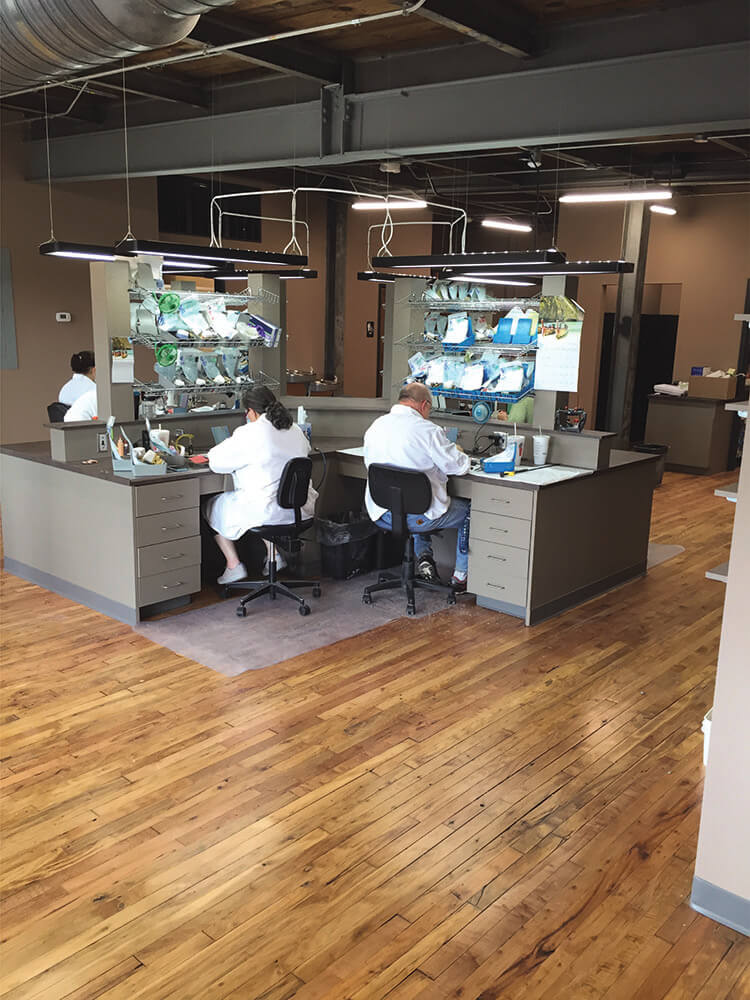 Dental Lab Technicians
