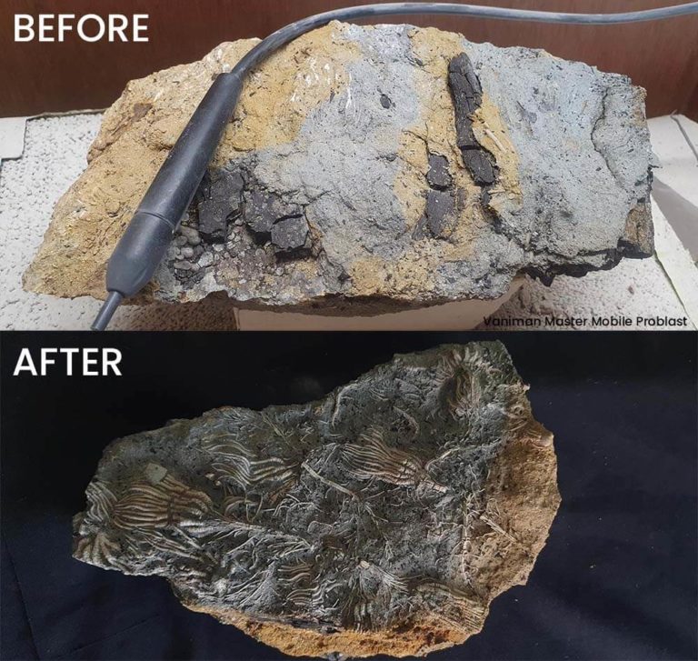 Fossils - Before/After - Vaniman Master Mobile Problast