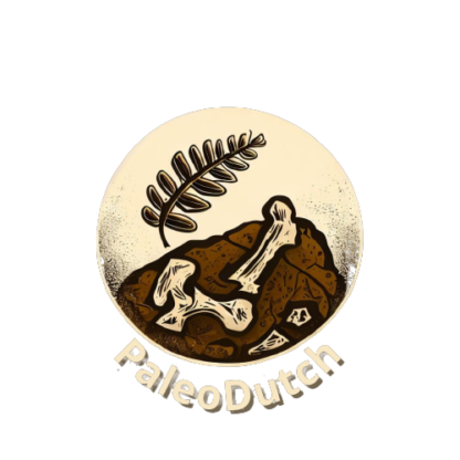 PaleoDutch Item - Fossil Prep Sandblasters