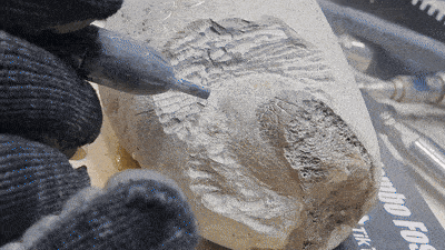Animated GIF of a Vaniman Mobile Problast removing matrix from a fossil