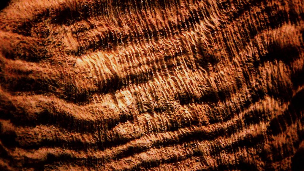 Briar wood sandblasted with 25 micron aluminum oxide; close-up under a microscope (1).