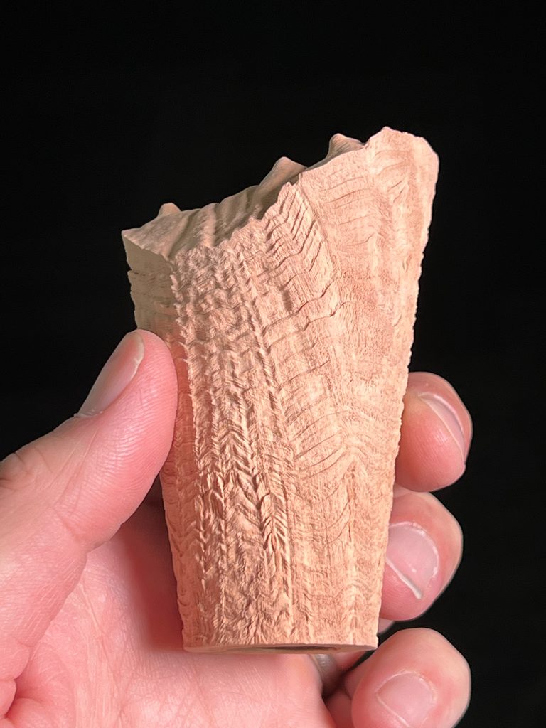 Wood Pipe Sandblasted with 50 μm Aluminum Oxide